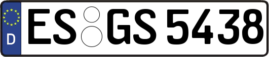 ES-GS5438