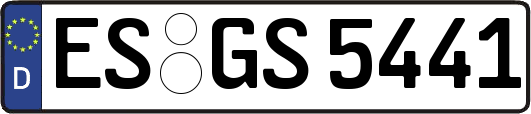 ES-GS5441