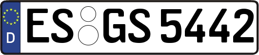 ES-GS5442