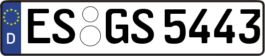 ES-GS5443