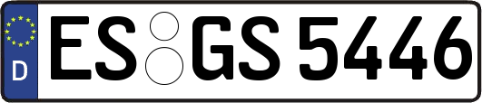 ES-GS5446