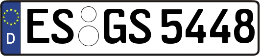 ES-GS5448