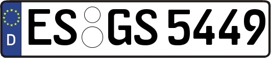 ES-GS5449