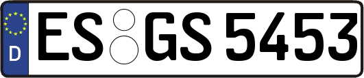 ES-GS5453