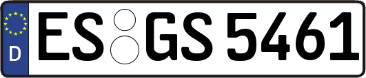 ES-GS5461