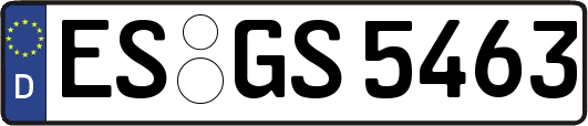 ES-GS5463