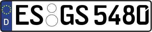 ES-GS5480