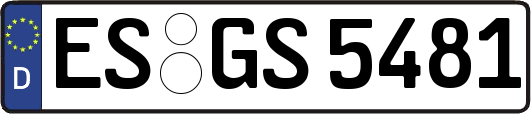 ES-GS5481