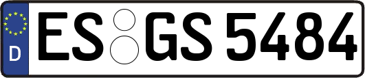 ES-GS5484