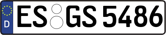 ES-GS5486