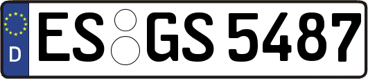ES-GS5487