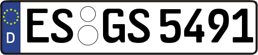 ES-GS5491