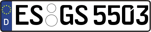 ES-GS5503