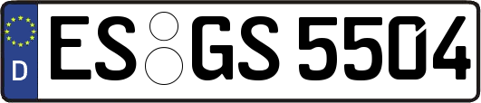 ES-GS5504