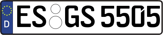 ES-GS5505