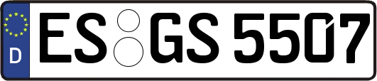 ES-GS5507