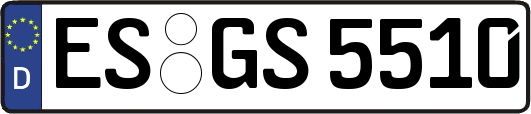 ES-GS5510