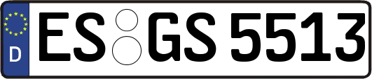 ES-GS5513