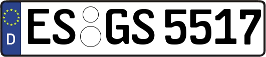 ES-GS5517