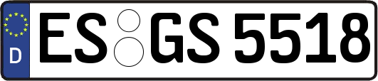 ES-GS5518