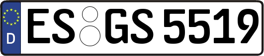 ES-GS5519