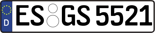 ES-GS5521