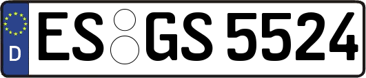 ES-GS5524