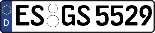 ES-GS5529