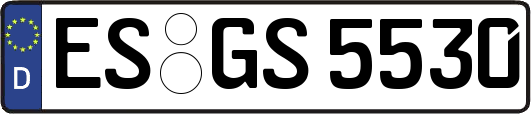 ES-GS5530