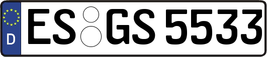 ES-GS5533