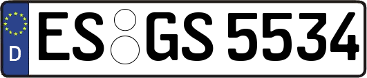 ES-GS5534