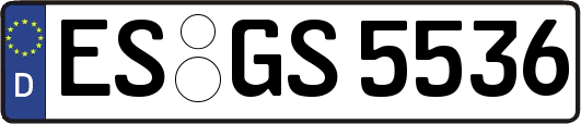 ES-GS5536
