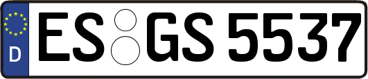 ES-GS5537