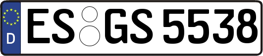 ES-GS5538