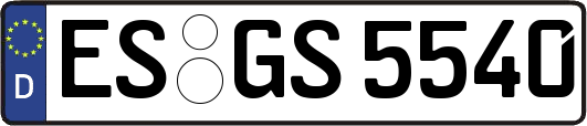 ES-GS5540