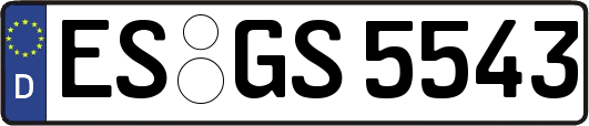 ES-GS5543