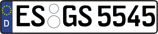 ES-GS5545