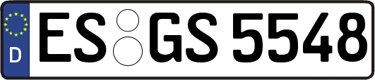 ES-GS5548