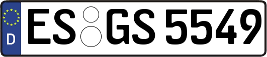 ES-GS5549
