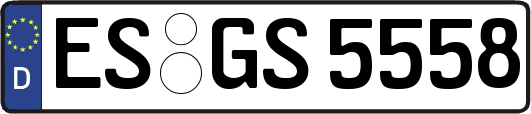 ES-GS5558