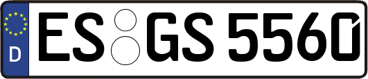 ES-GS5560