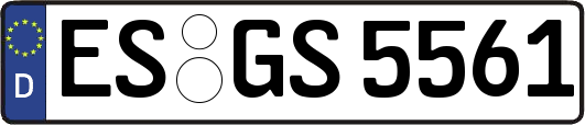 ES-GS5561