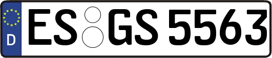 ES-GS5563