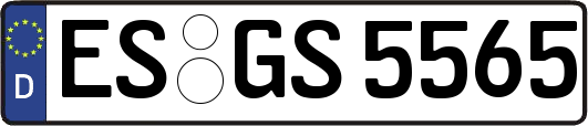 ES-GS5565