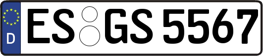 ES-GS5567