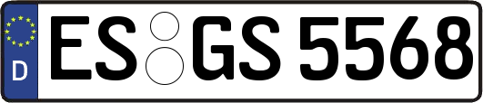 ES-GS5568