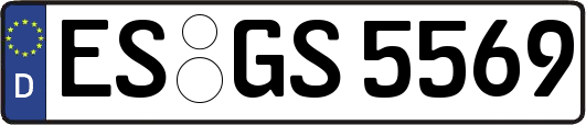 ES-GS5569