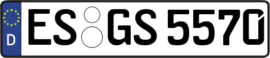 ES-GS5570
