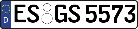 ES-GS5573