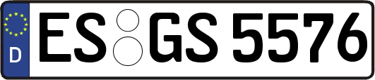 ES-GS5576